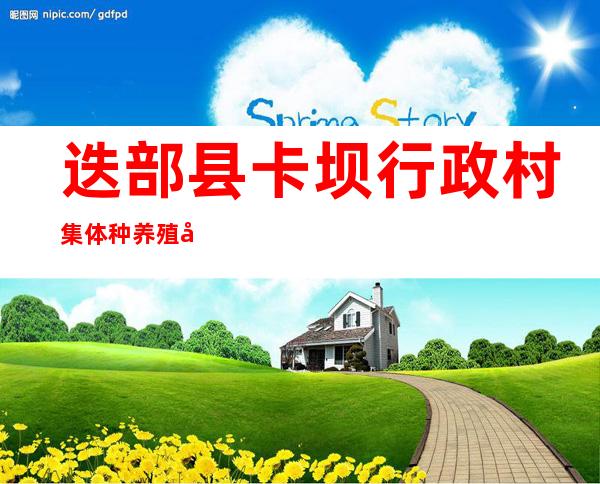 迭部县卡坝行政村集体种养殖农民专业合作社