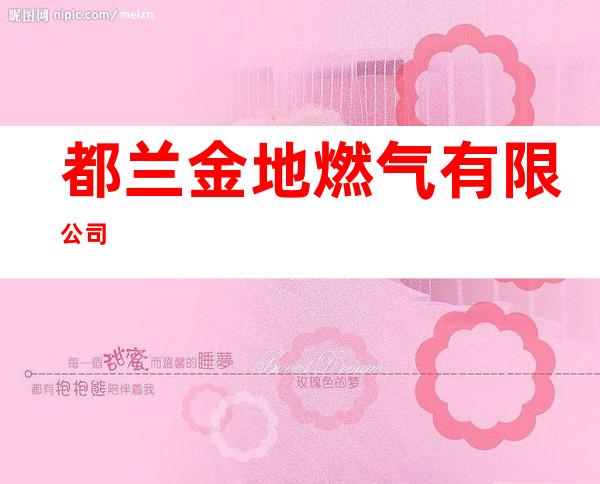 都兰金地燃气有限公司