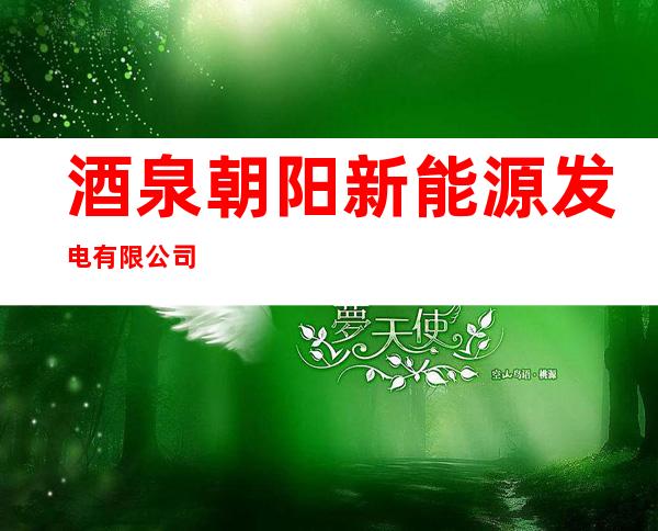 酒泉朝阳新能源发电有限公司