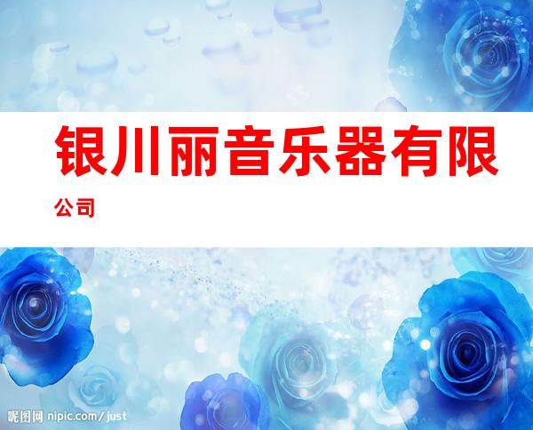 银川丽音乐器有限公司