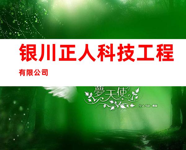 银川正人科技工程有限公司