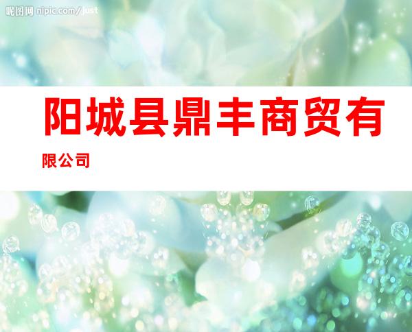 阳城县鼎丰商贸有限公司