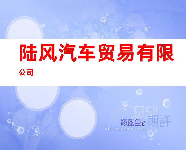 陆风汽车贸易有限公司