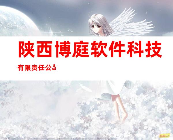 陕西博庭软件科技有限责任公司