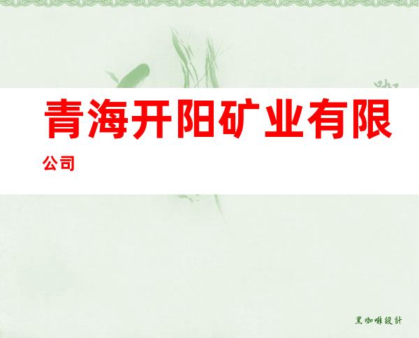 青海开阳矿业有限公司
