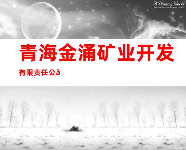 青海金涌矿业开发有限责任公司