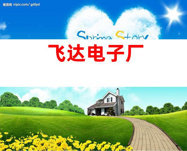 飞达电子厂