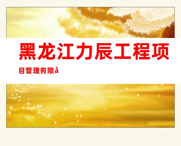 黑龙江力辰工程项目管理有限公司