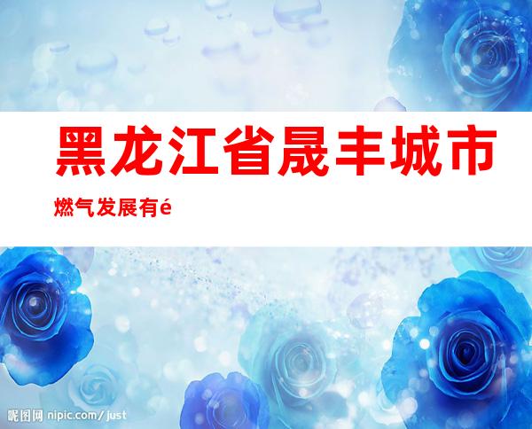 黑龙江省晟丰城市燃气发展有限公司
