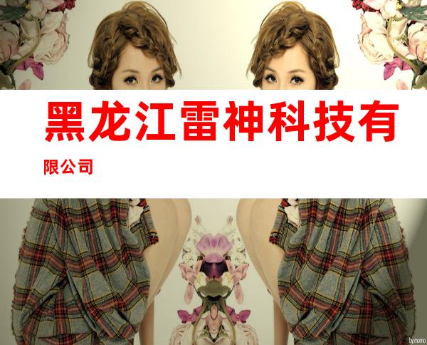 黑龙江雷神科技有限公司