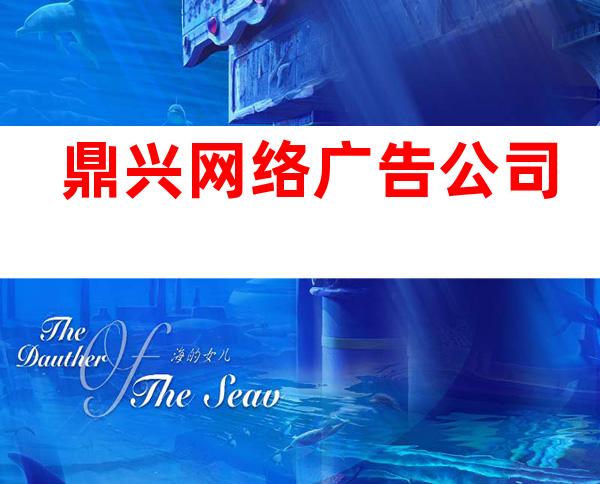 鼎兴网络广告公司